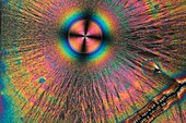 Vitamin C, polarised light micrograph