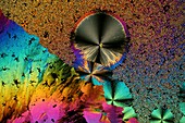 Niacinamide, polarised light micrograph