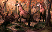 Palaeotherium magnum prehistoric ungulates, illustration