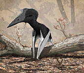 Short-necked azhdarchid pterosaur, illustration