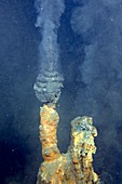 Black smoker hydrothermal vent