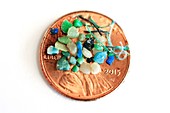 Microplastics on a coin