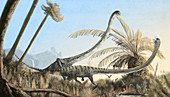 Tanystropheus prehistoric reptiles, illustration