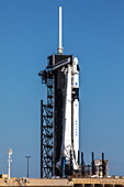 SpaceX Demo-2 spacecraft on launchpad