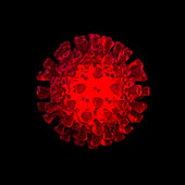 Coronavirus, illustration