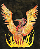 Phoenix rising from flames, illustration