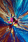 Potash alum and Mohr's salt, polarised light micrograph