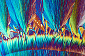Potash alum and Mohr's salt, polarised light micrograph