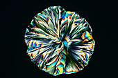 Beta-alanine and urea, polarised light micrograph