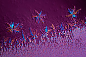 Metal sulphates, polarised light micrograph