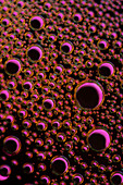 MSG and sweetener, polarised light micrograph