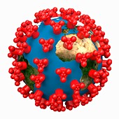 Coronavirus infection, conceptual illustration