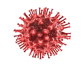 Coronavirus, 3D illustration