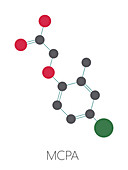 MCPA herbicide molecule, illustration