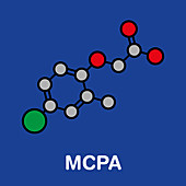 MCPA herbicide molecule, illustration