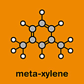 Meta-xylene aromatic hydrocarbon molecule, illustration