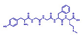 Met-enkephalin endogenous opioid peptide molecule