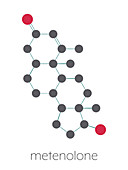 Metenolone anabolic steroid molecule, illustration