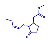 Methyl jasmonate plant stress signal molecule, illustration