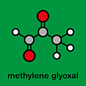 Methylglyoxal molecule, illustration