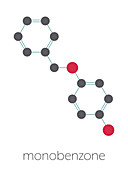 Monobenzone drug molecule, illustration