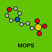 MOPS buffering agent molecule, illustration
