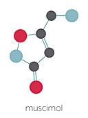 Muscimol molecule, illustration