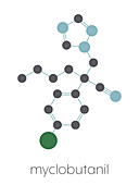 Myclobutanil antifungal molecule, illustration