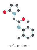 Nefiracetam nootropic drug molecule, illustration
