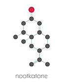 Nootkatone natural insect repellent molecule, illustration