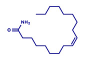 Oleamide molecule, illustration