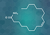 Oleamide molecule, illustration