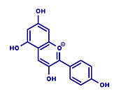 Pelargonidin pigment molecule, illustration