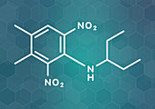 Pendimethalin herbicide molecule, illustration