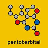 Pentobarbital barbiturate sedative molecule, illustration