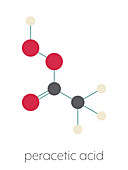 Peracetic acid disinfectant molecule, illustration