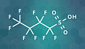 Perfluorobutanesulfonic acid fluorosurfactant molecule