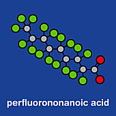 Perfluorononanoic acid surfactant molecule, illustration
