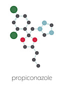 Propiconazole fungicide molecule, illustration