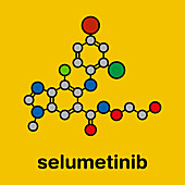 Selumetinib cancer drug molecule, illustration