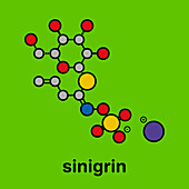 Sinigrin glucosinolate molecule, illustration