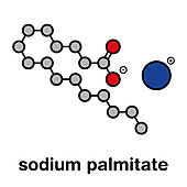 Sodium palmitate soap molecule, illustration