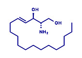 Sphingosine lipid molecule, illustration