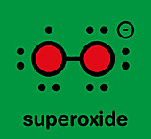 Superoxide free radical, illustration