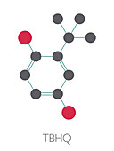 TBHQ antioxidant preservative molecule, illustration