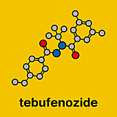 Tebufenozide insecticide molecule, illustration