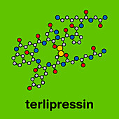 Terlipressin drug molecule, illustration