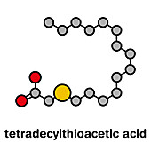 Tetradecylthioacetic acid synthetic fatty acid molecule
