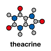 Theacrine molecule, illustration