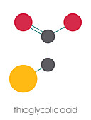 Thioglycolic acid molecule, illustration